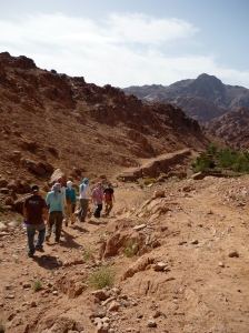 Treking in the high mountians of Sinai